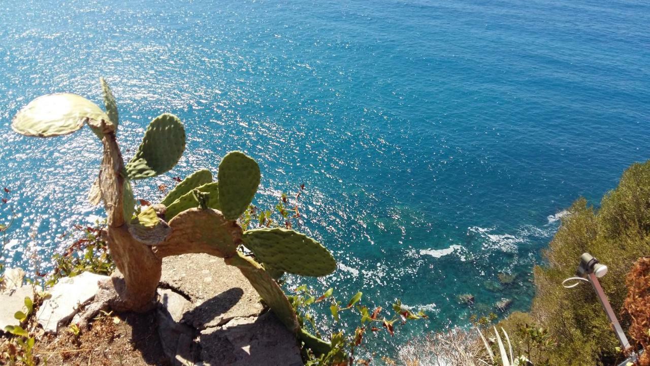 דירות קורניליה La Terrazza Sul Blu מראה חיצוני תמונה